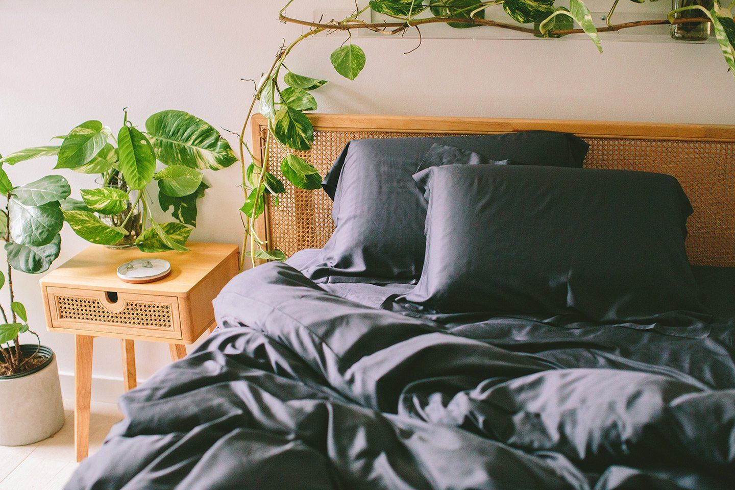 Bamboo Duvet Cover Set + Shams - Image 6