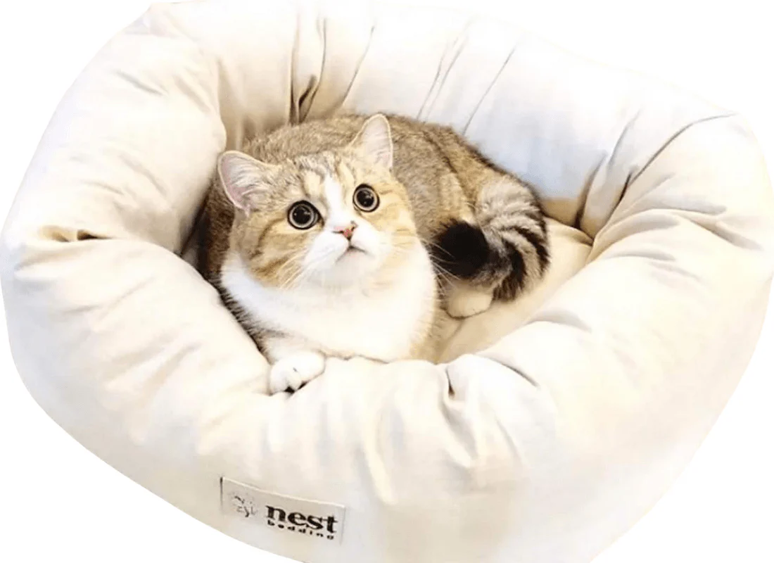 Bolstered Pet Bed - Image 3
