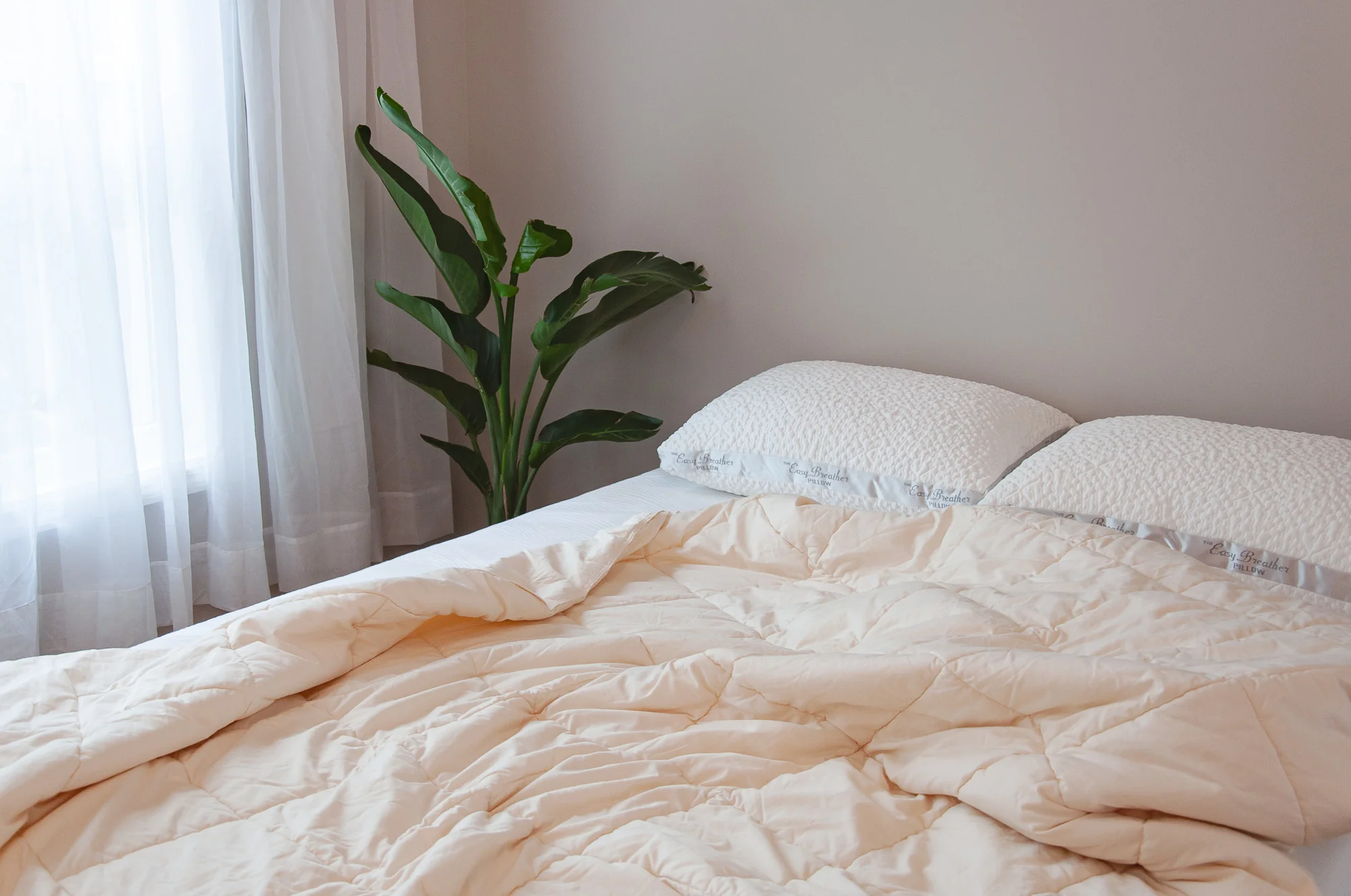 Nest Bedding Washable Wool Comforter - Image 3